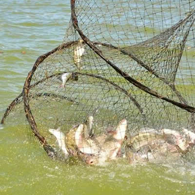 Fishing Net